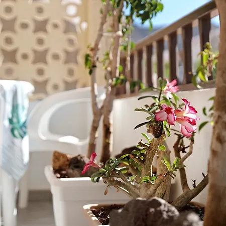 Preciosos Miraverde Piscina Appartamento